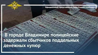 Ирина Волк: В городе Владимире полицейские задержали сбытчиков поддельных денежных купюр