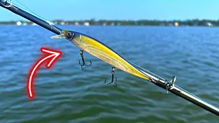 TRY THIS LURE! Targeting THESE Saltwater Fish!