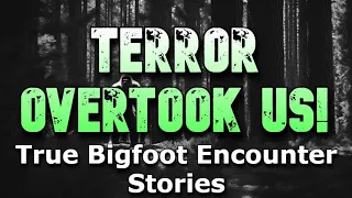 TERROR OVERTOOK US! True Bigfoot Encounter Stories