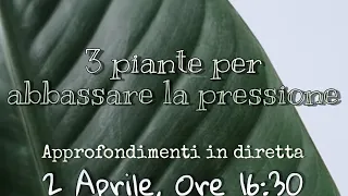 3 piante per abbassare la pressione arteriosa