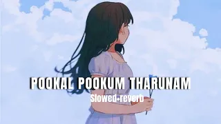 Pookal Pookum Tharunam | Lofi Song