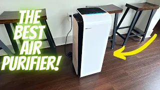 The Best Air Purifier! Blueair Air Purifier!