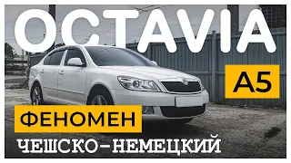 Опять шкода - Skoda Octavia A5