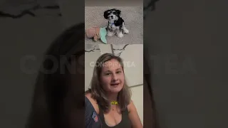 Gypsy Rose Blanchard says Puppy Pixie is with Ryan in LIVE with EX Ken Urker #gypsyrose