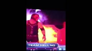 Team hell no and randy orton scare the shield