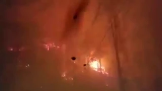 NSFW - Language - Forest Fire Escape in Gatlinburg, TN - Nov. 29, 2016