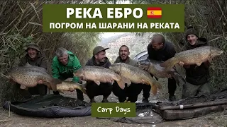 CarpDays - Шаранджийски рай на река Ебро / Ebro's Carp paradise (with EN Subs)