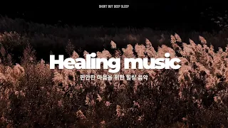 마음까지 시원해지는 바람 소리 | 백색소음 | 명상, 공부, 스트레스 완화, 수면유도, 힐링, 작업