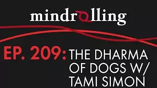 Mindrolling – Ep. 209 – The Dharma of Dogs with Tami Simon