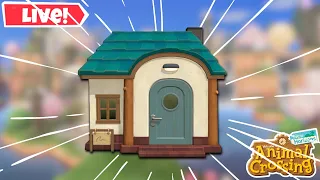 Let's finish this neighborhood! |Animal Crossing New Horizons| LIVE