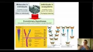 Modern Synthesis Theory of Evolution