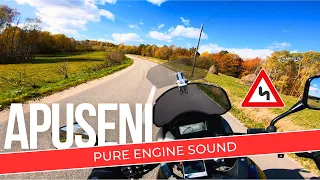 Apuseni Autumn Ride | Suzuki XF 650 Freewind | RAW / Onboard