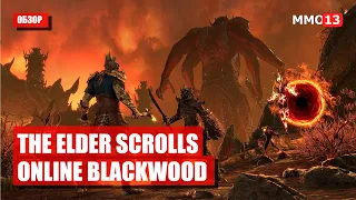 Обзор The Elder Scrolls Online: Blackwood — «Врата в Обливион распахнулись»