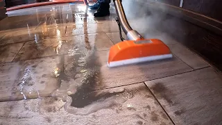 DEEP Cleaning a GREASY sports bar!