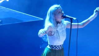 Aurora Winter bird Tivoli vredenburg Utrecht 19-10-2016