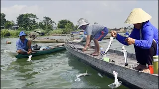 Mưu sinh nghề câu cá dọc theo sông Tiền - Sông Nước Cửu Long - Nguyễn Hùng