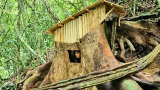 Build a shelter in the giant tree stump. beautiful & warm - Tropical Forest #9