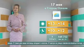 Погода в Старом Осколе на 17 мая