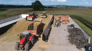 Filling Bunker Silos | Corn Silage Harvest 2021