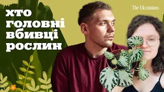 5: Як стати ідеальним рослинним шкідником. Розмова з Василем @vmart_plants | Бегонії в агонії