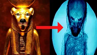 Researchers Discovered In Egypt Tomb What No One Was Supposed To See!