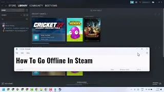 Go Offline In Steam 2023