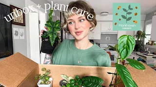 unboxing & caring for my ✨new✨ houseplants (planthaven toronto)