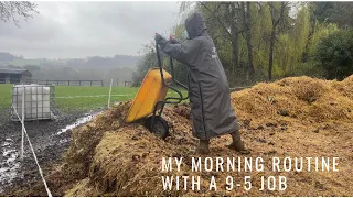 Yard morning routine with a 9-5 job - with a horse on DIY livery