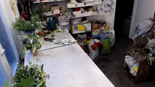 Live aus dem Blumenladen - Impressionen und Informationen aus dem Arbeitsraum eines Blumenladens
