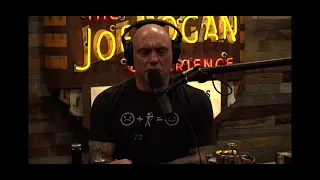 Joe Rogan talks about Norm Macdonald defending Shane Gillis during SNL firing.