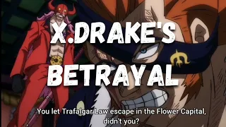 X. Drake let Trafalgar Law escape and was found out by Queen | X.Drake Form Alliance with Straw Hats