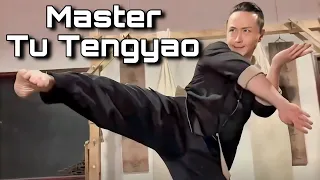 Master Tu Tengyao 7 Wing Chun Self-Defense Combinations