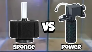 Which one is Better Sponge Filter or Power Filter