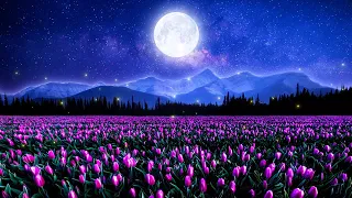 Relaxing Music and Night Nature Sounds with Crickets: Beautiful Piano, Stress Relief, Sleep Music