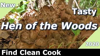 [Hen of the Woods] 2020 Find Clean Cook Maitake