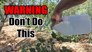 This Is Why You Should NOT Use Vinegar Weed Killer In The Garden