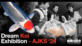 Dream Koi Exhibition - All Japan Koi Show '24