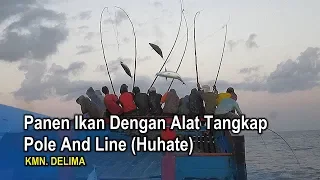 [Panen Ikan] KMN Delima Panen Ikan 4 Ton Alat Tangkap Pole And Line (Huhate)
