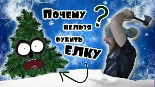 ПОЧЕМУ НЕЛЬЗЯ РУБИТЬ ЕЛКУ?