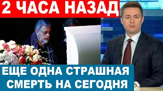 "Как и с женой Домогарова, химия не помогла..." В Москве нашли тело актрисы театра и кино