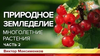 Природное земледелие многолетние растения. Виктор Максименков. Часть 2