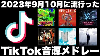 【TikTok】2023年9月10月に流行ったTikTok音源メドレー！！【槇原ドリル/ひき肉/Smerf cat】