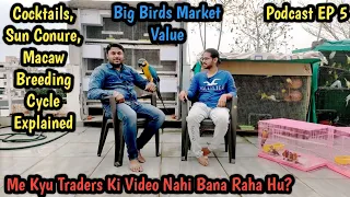 देखिये Jainesh भाई के खूबसूरत Sun Conure, Cockatiel और Blue and Gold Macaw और जानिए उनके बारे मे A2Z