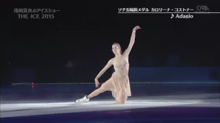 2015 The Ice Nagoya   Carolina Kostner   Adagio