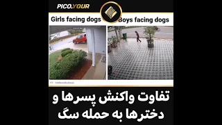 تفاوت واکنش پسر ها و دختر ها به حمله سگ