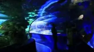 Ripleys Aquarium of Canada