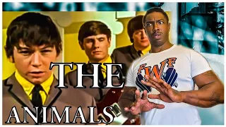 The Animals- "House Of The Rising Sun" *REACTION*