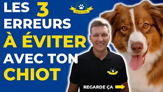 3 erreurs à éviter avec un chiot : guide pour nouveaux propriétaires