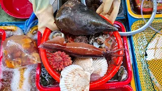 Amazing assorted Korean seafood sashimi, penis fish, octopus, abalone - Korean food