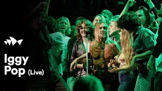 Iggy Pop - "No Fun" | Live at Sydney Opera House